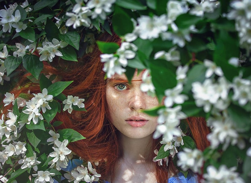 Hidden Wonders