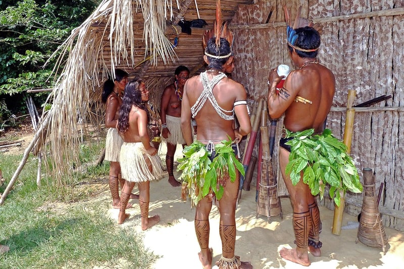 Amazon Rainforest Exploration