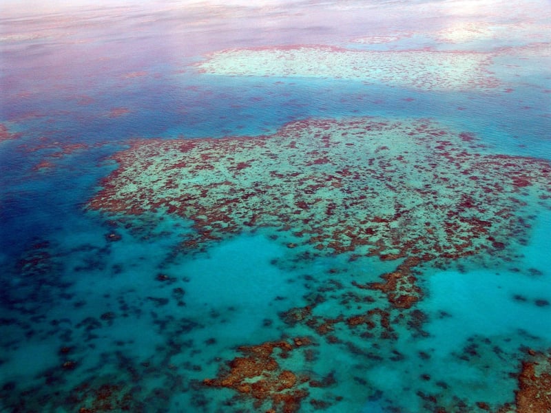 Great Barrier Reef Diving